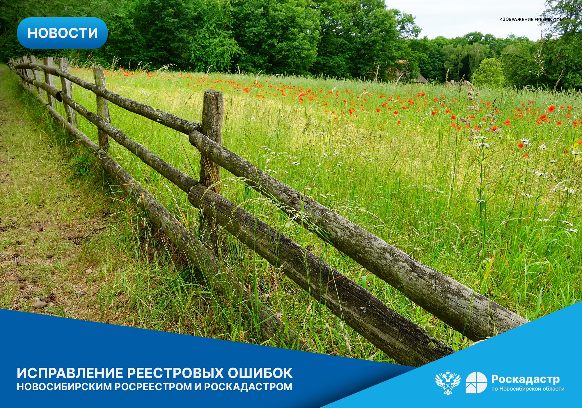 novosibirskiy_rosreestr_i_regionalnyy_roskadastr_soobshchili_o_rezultatah_raboty_po_ispravleniyu_reestrovyh_oshibok_v_2024_godu.jpg